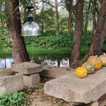 Modletice U řeky Thaya česká Kanada * Pisecne